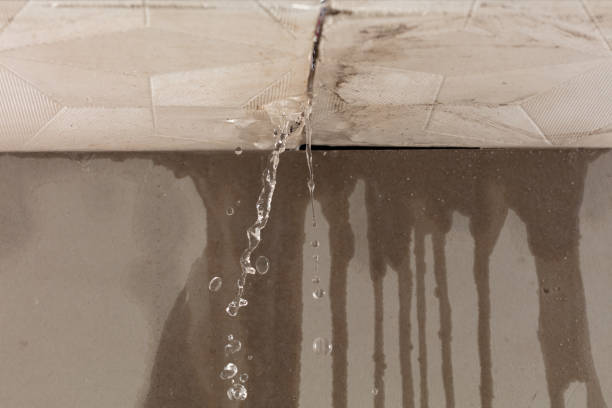 Professional Burst Pipe Cleanup technician working in Columbia Falls, ME